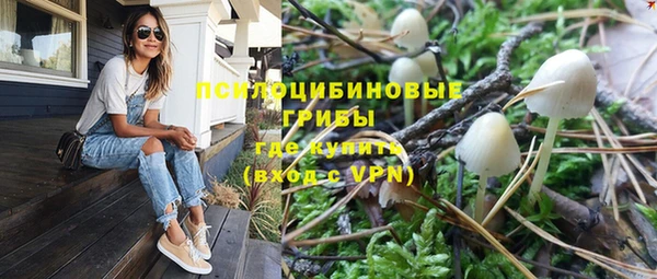 стаф Абдулино