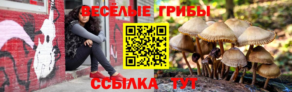 Галлюциногенные грибы GOLDEN TEACHER Златоуст