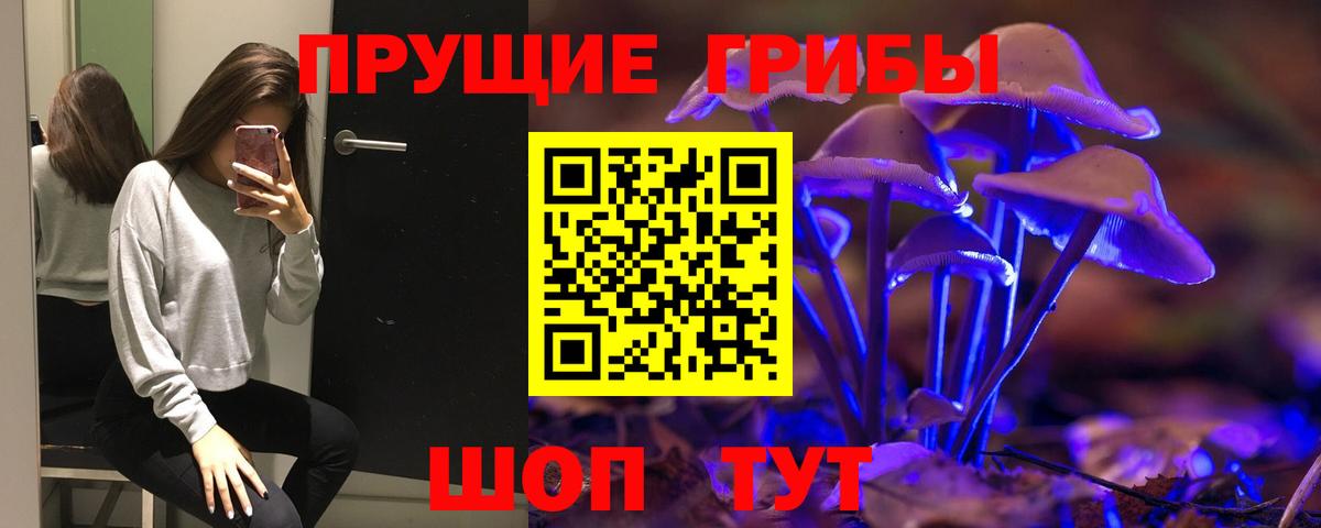 Псилоцибиновые грибы ЛСД  Вход с VPN  Галлюциногенные грибы GOLDEN TEACHER  Златоуст 